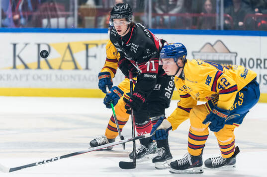 Malmö Redhawks Isac Nilsson och Djurgårdens Theo