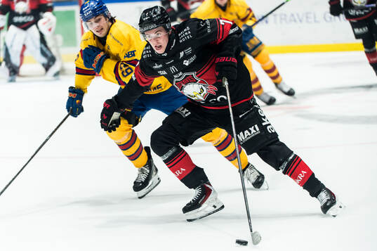 Malmö Redhawks Topi Niemelä och Djurgårdens Håvard