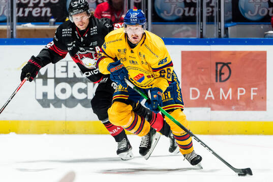 Bläddra bland fler bilder av Ishockey, SHL, Åttondelsfinal 2, Malmö Redhawks - Djurgården
