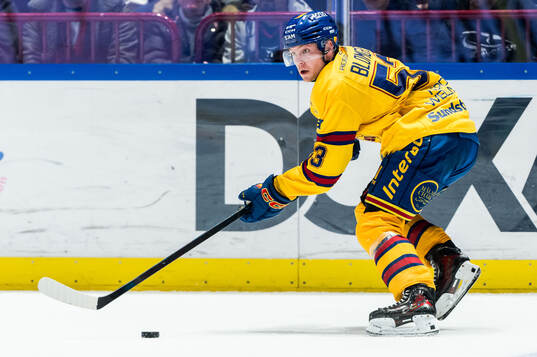 Djurgårdens David Blomgren