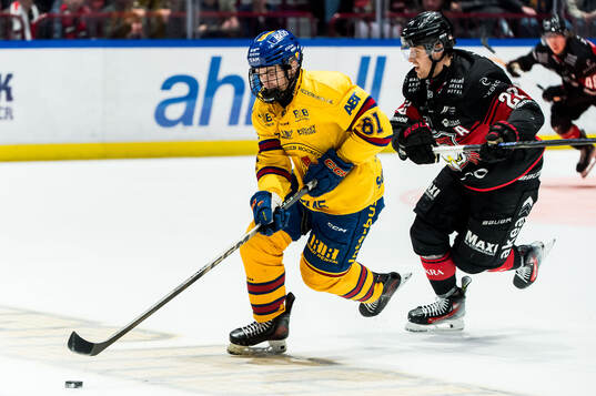 Djurgårdens Viggo Björck och Malmö Redhawks Janne