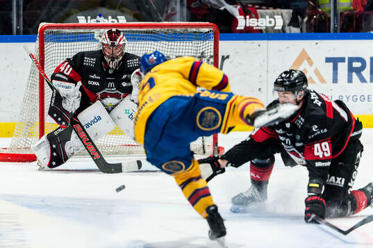 Malmö Redhawks målvakt Oskar Blomgren och Djurgårdens
