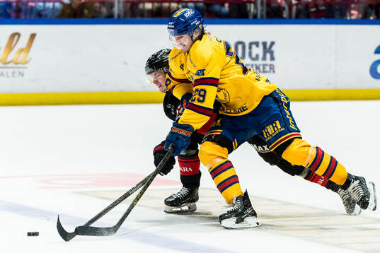 Malmö Redhawks Robin Salo och Djurgårdens Håvard Salsten
