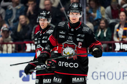 Malmö Redhawks Fredrik Händemark deppar