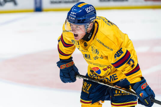 under åttondelsfinal två i SHL mellan Malmö Redhawks och