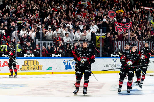 Malmö Redhawks spelare jublar