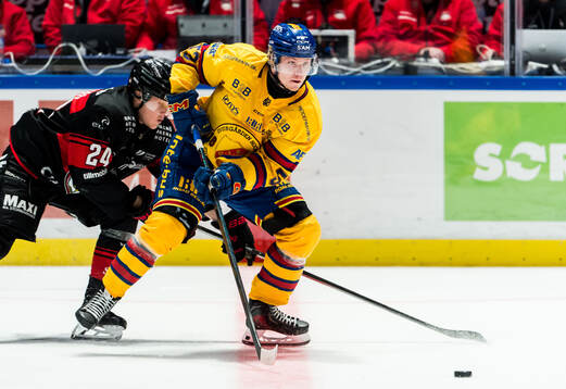 Malmö Redhawks Filip Björkman och Djurgårdens David