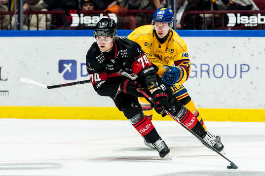 Malmö Redhawks Felix Carell och Djurgårdens David Blomgren