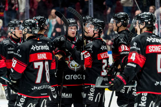 Malmö Redhawks spelare jublar
