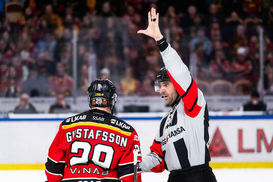 Domare Mikael Sjöqvist