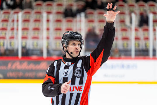 Domare Stefan Leijonklo