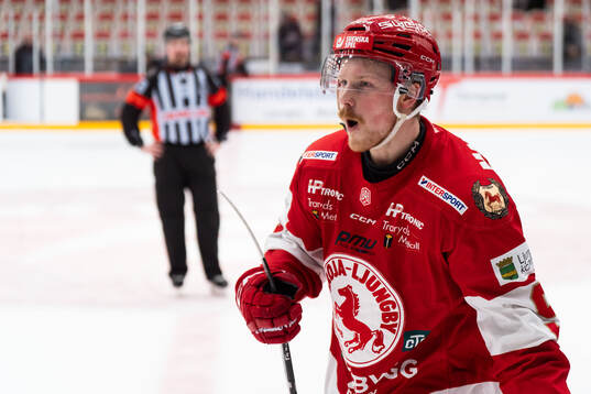 Troja/Ljungbys Ludvig Warg jublar