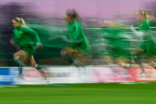 Hammarbys spelare