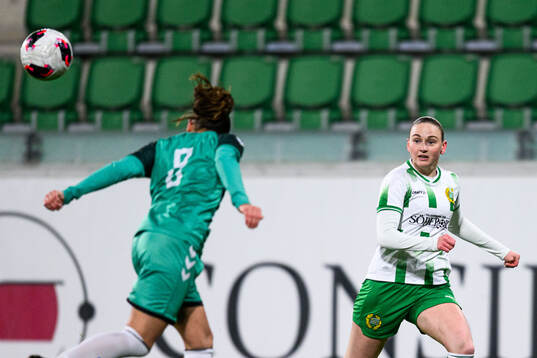 Hammarbys Vilde Hasund