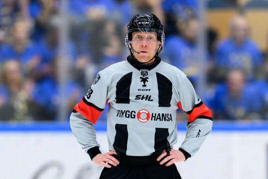 Domare Mikael Holm