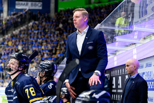 HV71s tränare Anton Blomqvist