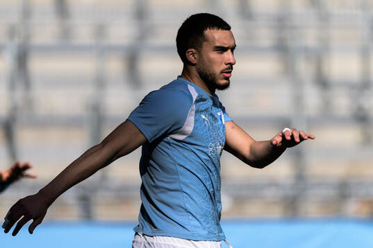 Malmö FFs Andrej Djuric