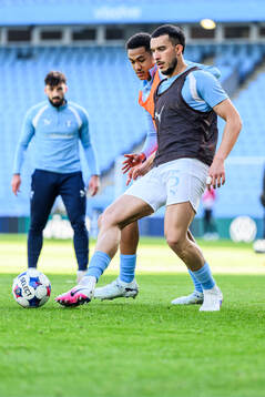 Malmö FFs Andrej Djuric