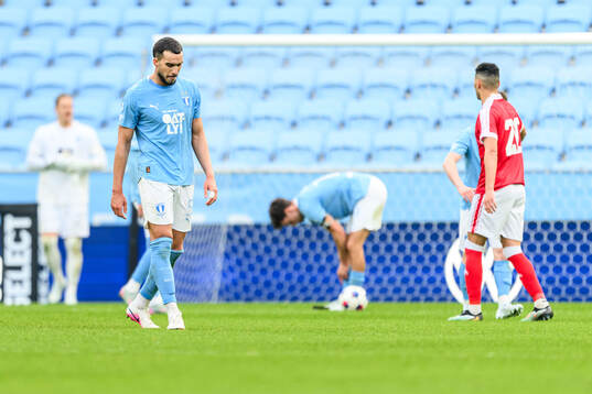 Malmö FFs Andrej Djuric deppar
