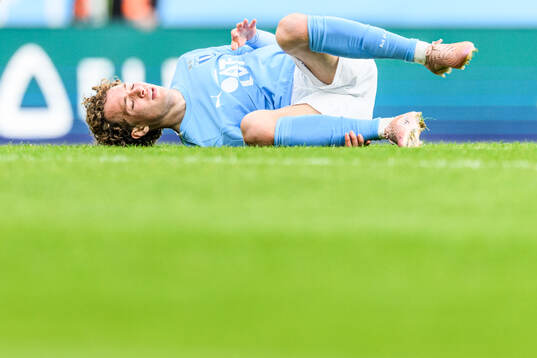 Malmö FFs Anton Höög