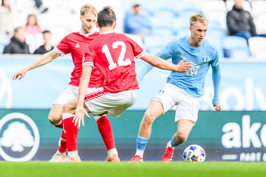 Malmö FFs Daniel Gudjohnsen