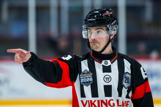 Domare Filip Eriksson