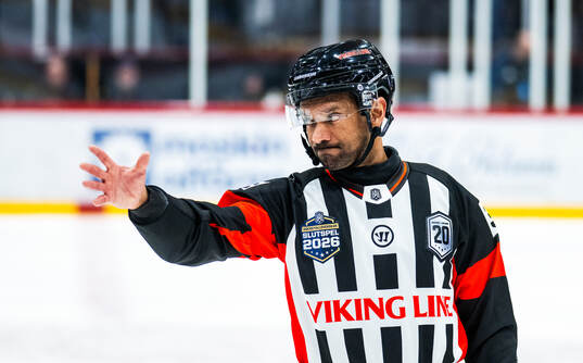 Domare Fredrik Rönnberg