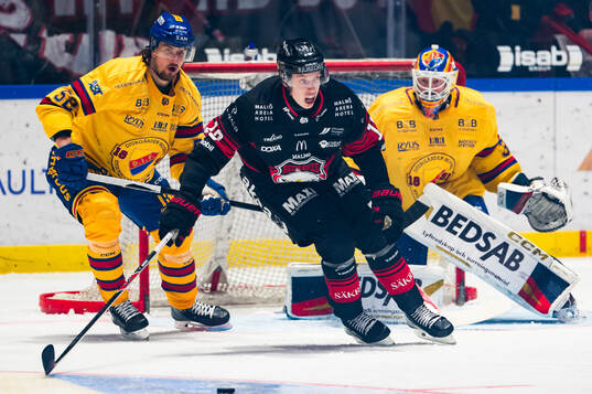 Malmö Redhawks William Von Barnekow samt Djurgårdens