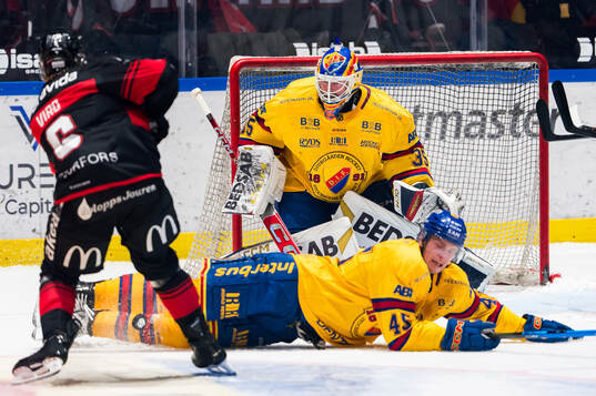 Malmö Redhawks Eemil Viro, Djurgårdens målvakt Magnus