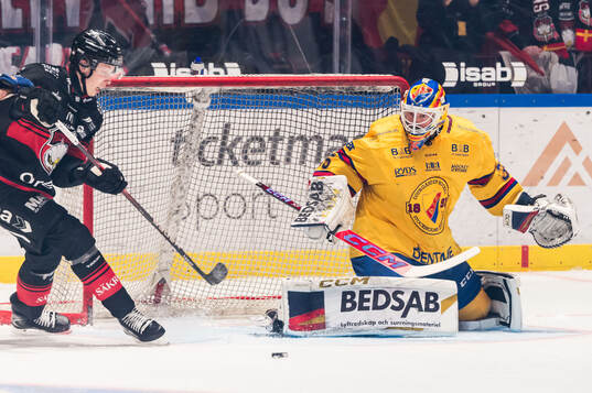Malmö Redhawks William Von Barnekow och Djurgårdens