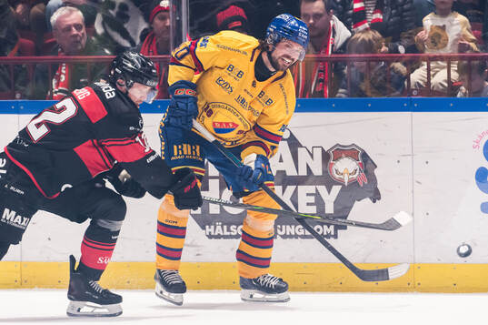 Malmö Redhawks Linus Öberg och Djurgårdens Jacob Josefson