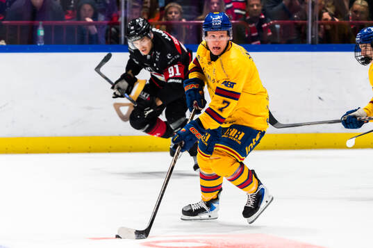 Djurgårdens Joseph Snively och Malmö Redhawks Axel