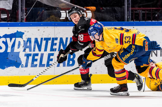 Malmö Redhawks Lauri Pajuniemi och Djurgårdens David