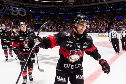 Bläddra bland fler bilder av Ishockey, SHL, Åttondelsfinal 3, Malmö Redhawks - Djurgården