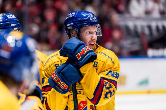 under åttondelsfinal tre i SHL mellan Malmö Redhawks och