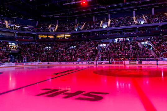 Malmö Arena