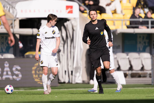 Domare Adi Aganovic