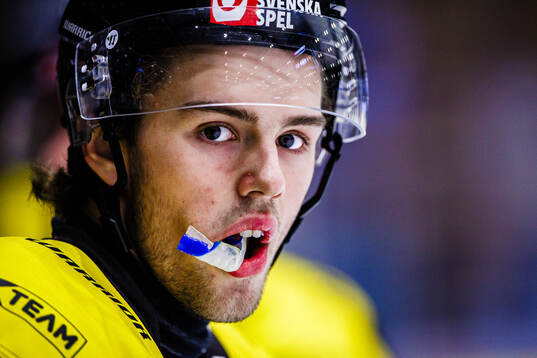 Västerås Joe Wahlund