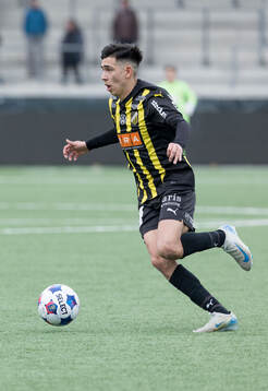 Häckens Danilo Al-Saed