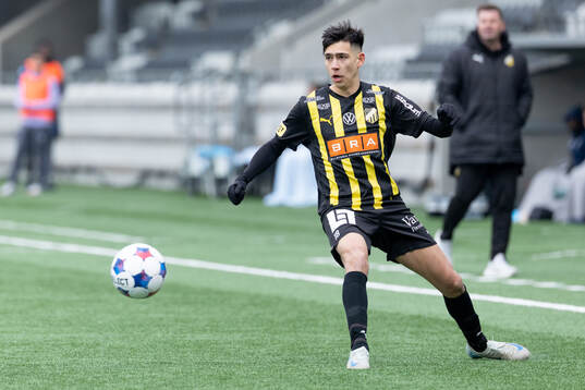 Häckens Danilo Al-Saed