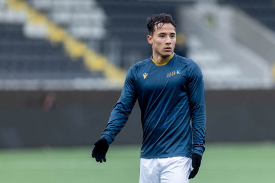 Halmstads Hussein Carneil