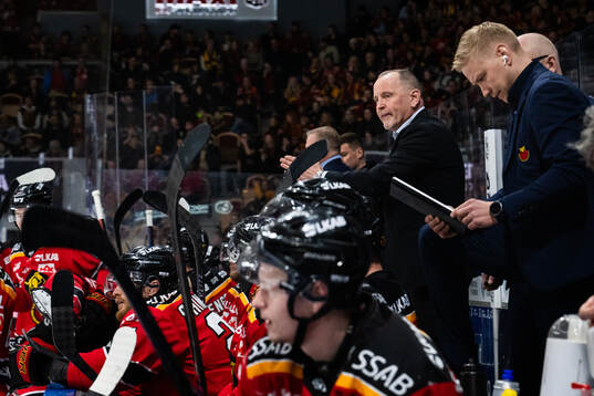 Luleås tränare Thomas Berglund