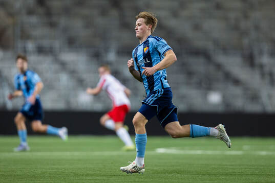 Djurgårdens Bo Hegland