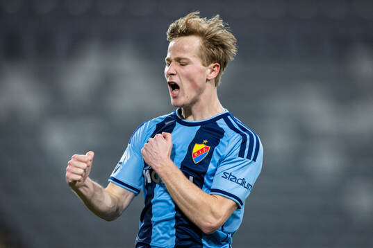 Djurgårdens Bo Hegland