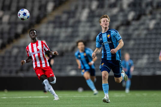 Djurgårdens Bo Hegland