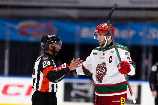 Domare Fredrik Rönnberg diskuterar med Modos David Rundblad