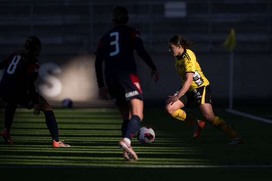 Bläddra bland fler bilder av Fotboll, Träningsmatch, Elfsborg - Linköping