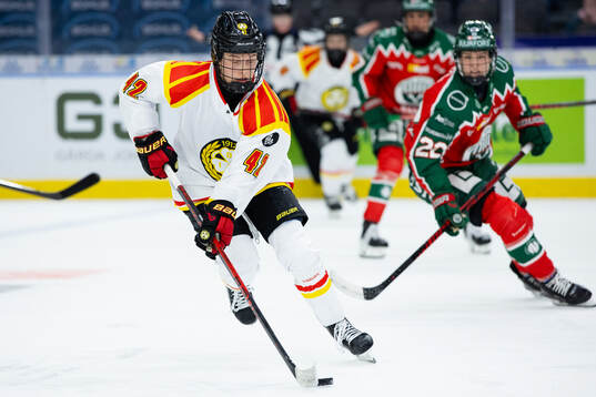 Brynäs Viivi Vainikka