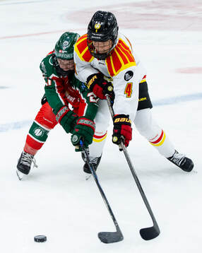 Frölundas Jenna Goodwin och Brynäs Anna Andersson