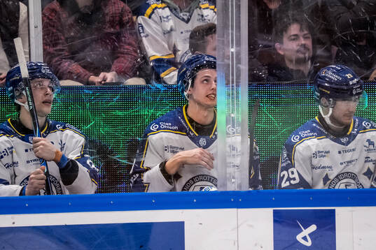 Leksands Lukas Vejdemo, Anton Johansson och Michael